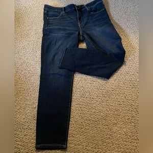 AE Next Level Stretch Jeggings (16 Short)